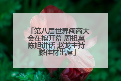 第八届世界闽商大会在榕开幕 周祖翼陈旭讲话 赵龙主持 滕佳材出席